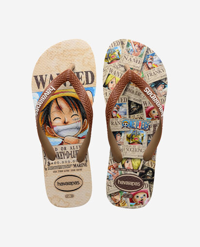 Chinelos Havaianas